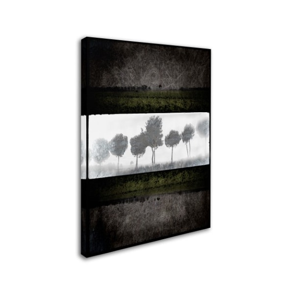 LightBoxJournal 'Black Tree 2' Canvas Art,14x19